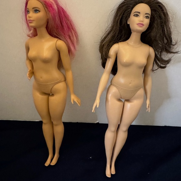 Barbie Other - Two Barbie Curvy Fashionistas Dolls 2015 Bundle and Save Fast Shipping